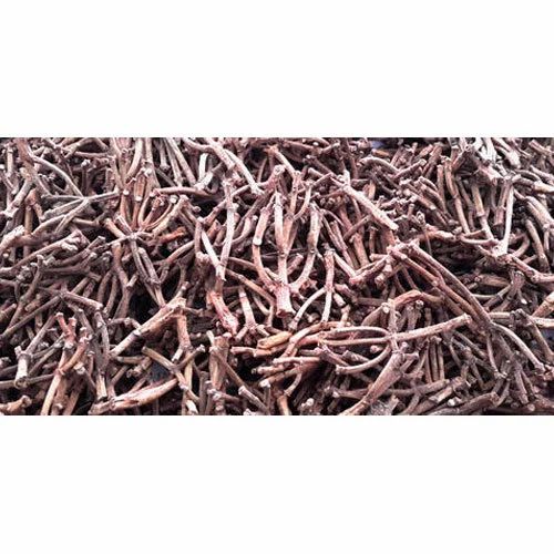 Organic Clove Stem